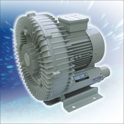 陆扬鼓风机维修与昆山电机维修厂的直流电机维修服务